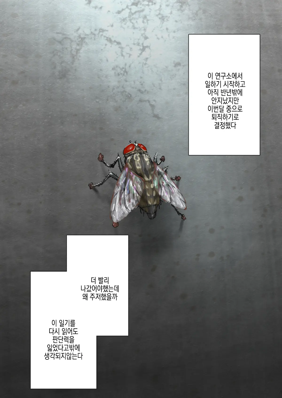 Youchuu Oyako | 양충모녀